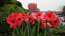Resize of IMG_7250.JPG